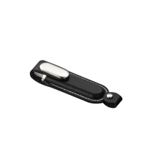 Executive USB Flash Drive v.2.0 1GB