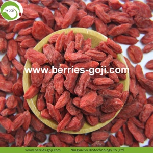 Top Grade Beslenme Kurutulmuş Bio Wolfberries