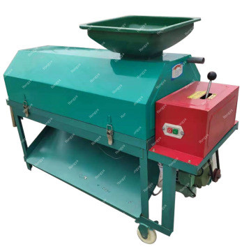 Automatic Green Walnut Peeling and Cleaning Machine