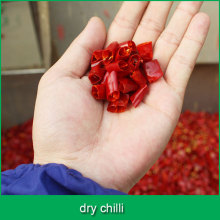 dry chilli