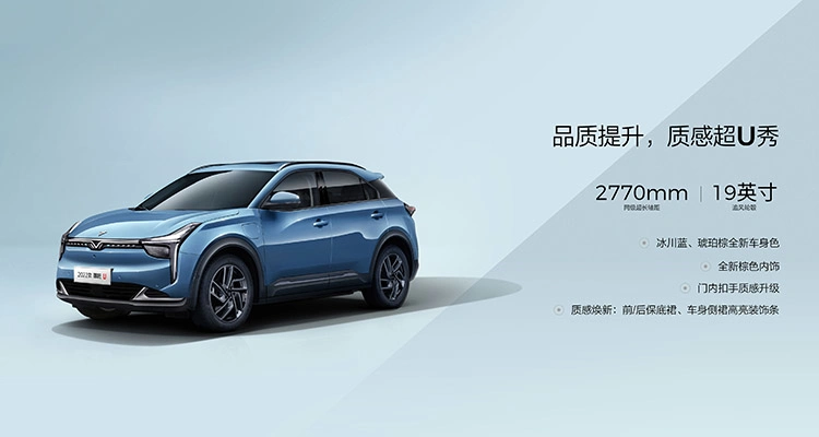 Neta U Commuting Transporter 5 Seats Electric Car Motor Engine New Energy SUV Vehicles Cost Effective Automobile