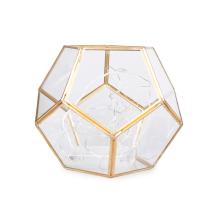 Lantern Terrarium w/20 LED String Light