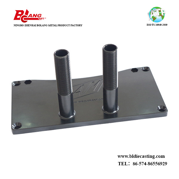 Aluminum Die Casting Housing of Pivot Side