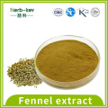 Solid Drink 10:1 Fennel extract Fennel Powder