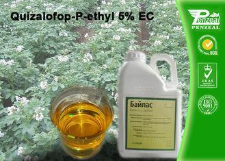 Quizalofop-P-Ethyl 5% EC Grass Selective Herbicides Strong