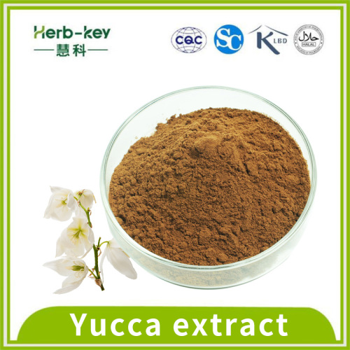 Improve intestinal action Yucca extract 30% Yucca saponins