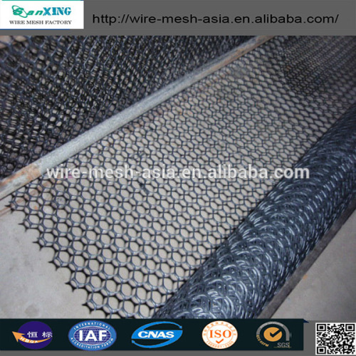 anping factory supply hot sale HDPE plastic crayfish traps flat net/Good quality poultry plastic flat net