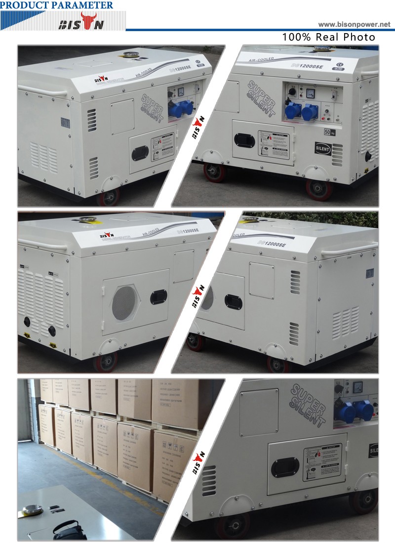 BISON(CHINA) BS12000SE 10kw 10kva Generator Supplier Electric Start Three Phase Diesel Silent 10 KW Generator 110V 220V 380V