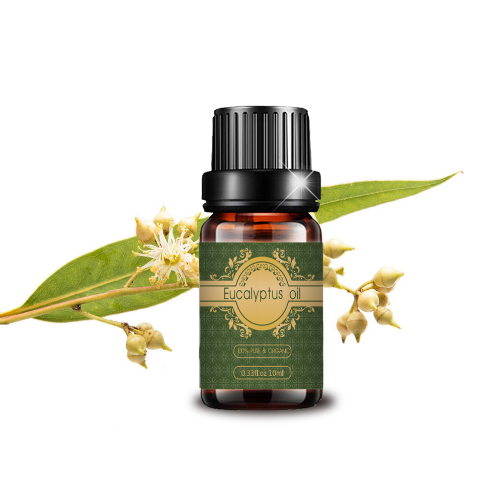 Étiquette privée personnalisée OEM Huile essentielle d&#39;Eucalyptus relaxante