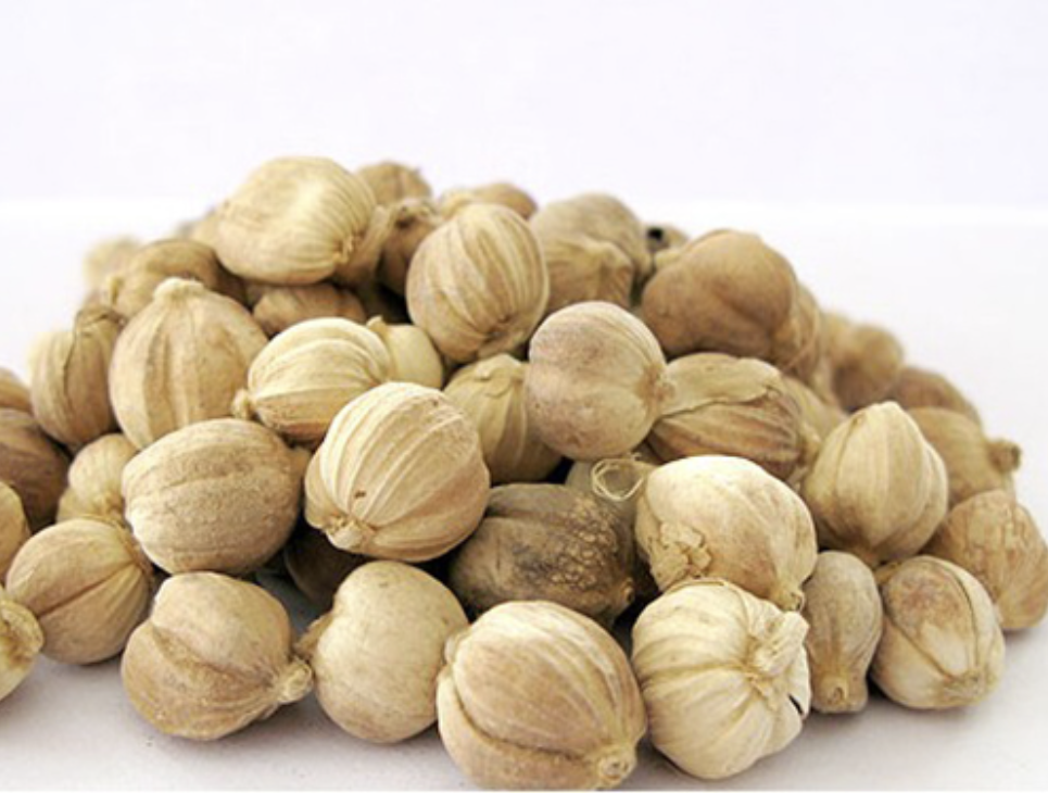 Производитель экстракта кардамона Cardamom Extract Manufacturer