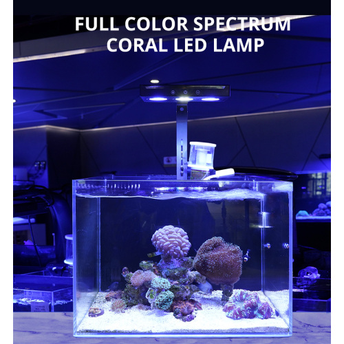 Dimmable Led Aquarium Lights Timer for Saltwater Aquarium