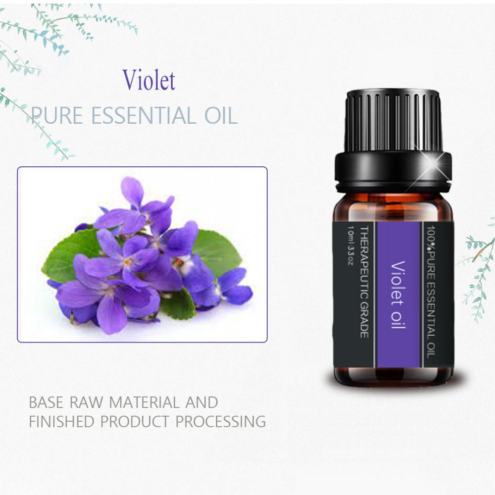 Huile essentielle de violet biologique pur pour le massage d&#39;aromathérapie