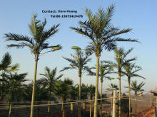 SJH082716 Shengjie make outdoor lighted palm trees large outdoor artificial trees for sale