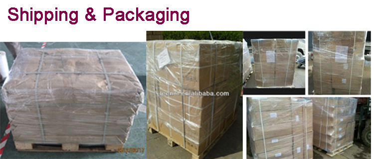 ESD zip lock shielding poly bag