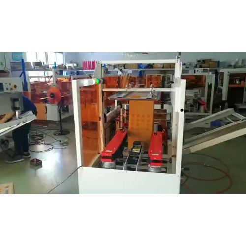 Erettore automatico di casse dalla fabbrica di Shandong