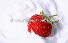 2T Complete Yoghurt Processing Line