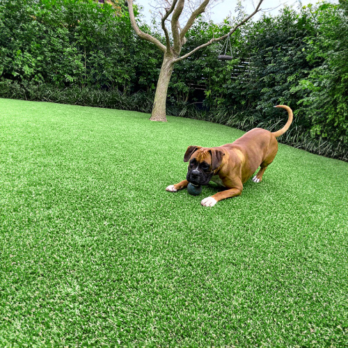 Mascotas y preocupaciones de seguridad de hierba artificial del patio