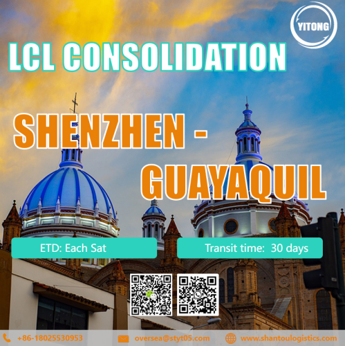 LCL International Shipping Sea Freight Service จากเซินเจิ้นถึง Guayquil