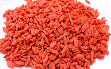 Organic Goji Berries, Ningxia Goji Berries (GJ-001)