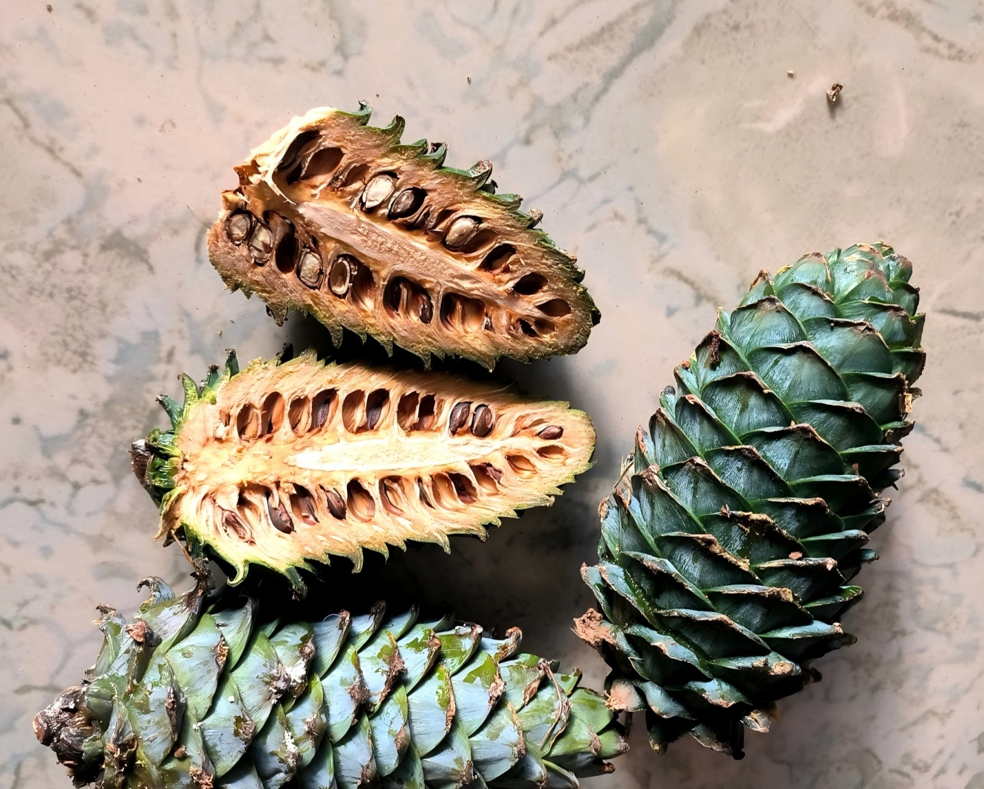 स्वादिष्ट कच्चे पाइन नट्स1 Delicious Raw Pine Nuts1