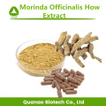 Sexo melhorar Morinda officinalis Como extrair o pó 10: 1