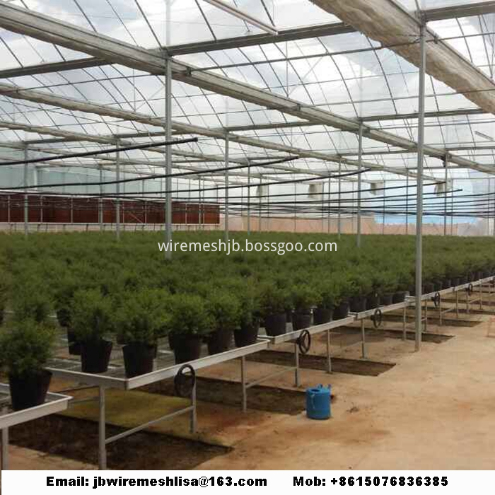 Galvanized Welded Wire Mesh Greenhouse Rolling Benches