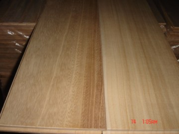 Paulownia Edge Glued Panels