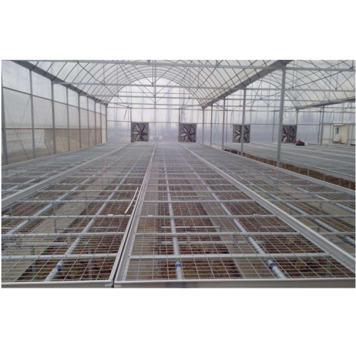 Skyplant Agriculture Greenhouse Seed Rolling Bench Bed