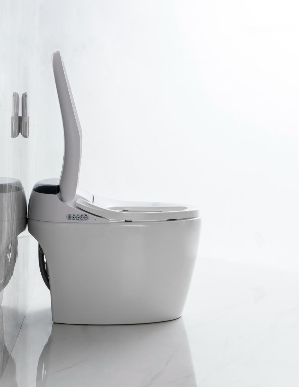 2207 13smart Toilet