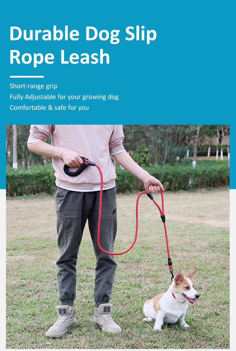 Heavy Duty Dog Leash with Two Handle Nylon Dog Leash