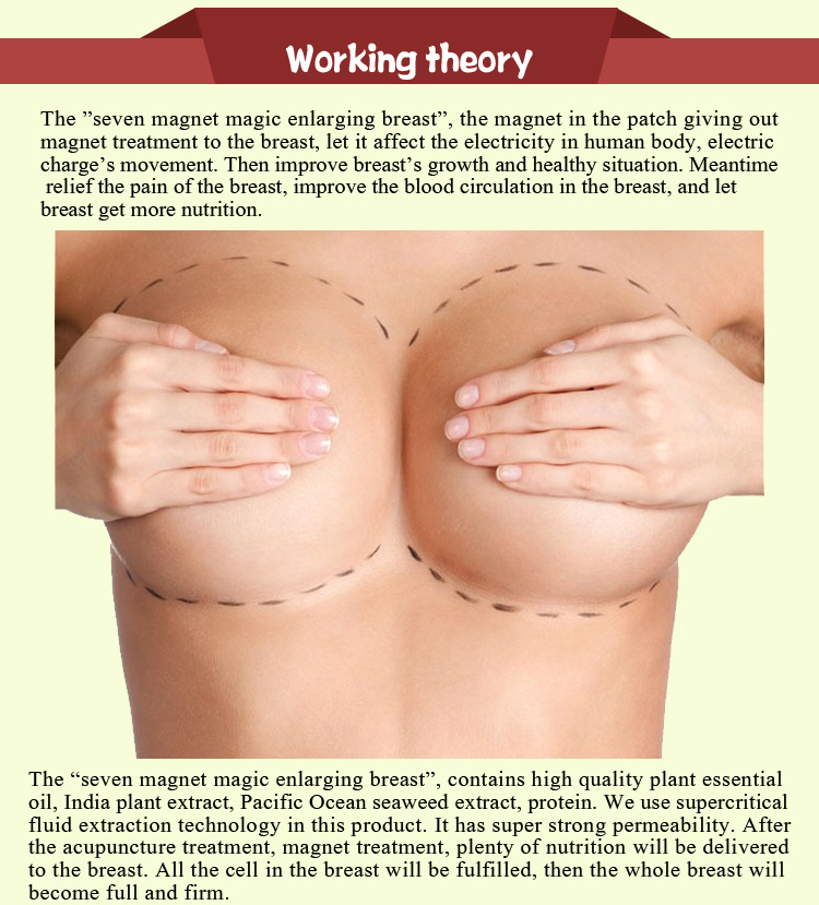巨乳用拡大パッチ Enlargement Patch for Big Breast
