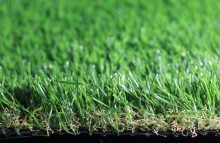 Garden Grass From Avg