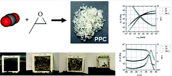 100% Biodegradable Polypropylene carbonate PPC