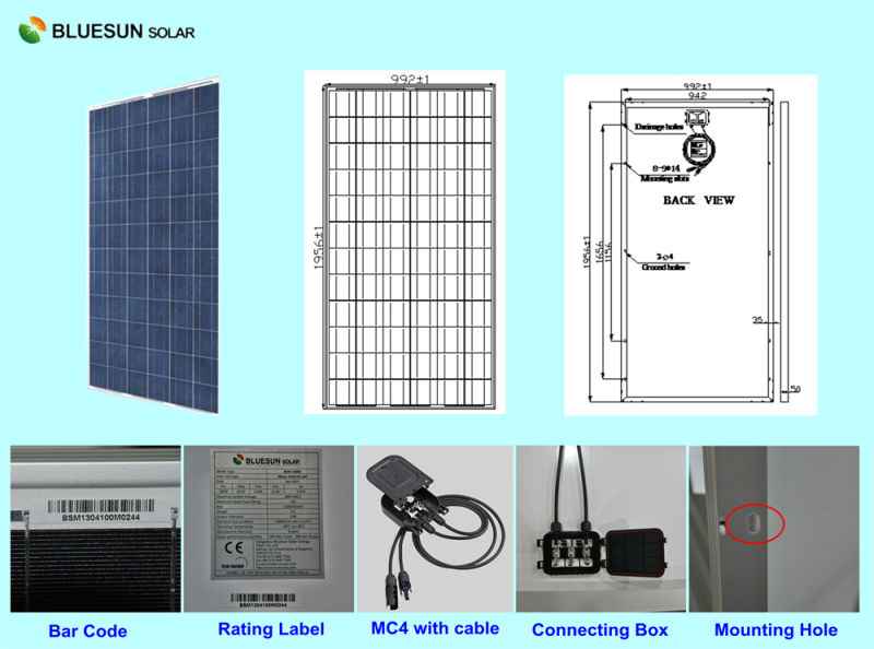 Bluesun Best Price PV Solar Panel 300W Module (BSM300P-72)