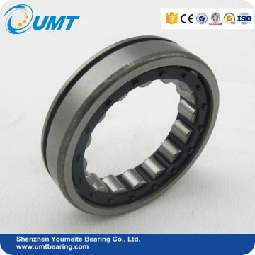 High quality cylindrical roller bearing for generators RN219