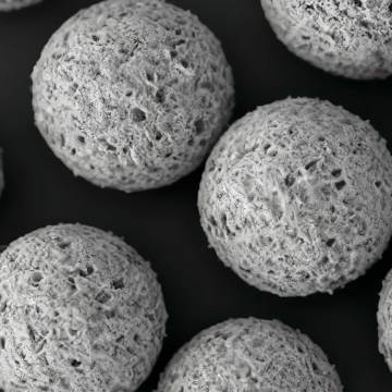 PHA microsphere for Vaccine Adjuvants