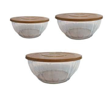 Modern 3-Piece Nesting Bowl Set with Lids