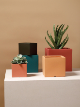 Vintage Small Succulent Ceramic Flower Pots