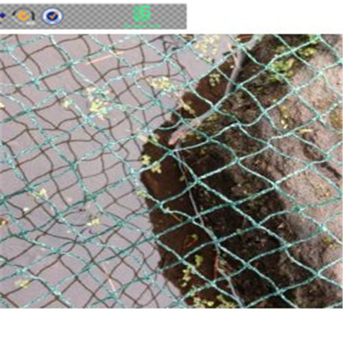 2019 НОВЫЙ материал Мононить HDPE POND NETTING