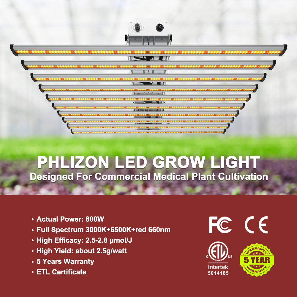 800W led grow light