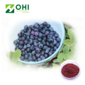 Chiết xuất blueberry 25% Anthocyanidin