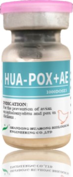 Fowl Pox +Avian Encephalomyelitis Vaccine, Live