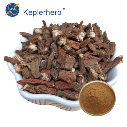 100% Natural Salvia Root Extract