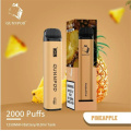 Lápiz de vape desechable GunnPod 2000 Puffs Vape