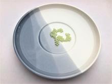 Improving The Intestines Weizmannia Coagulans 50B CFU/g