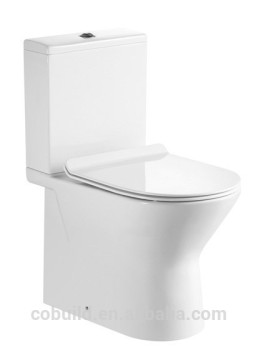 Water mark Bathroom Ceramic Two Piece dual flush Toilet