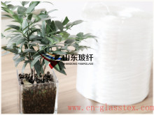 Fiberglass roving for texturizing 24 μm 2400 tex