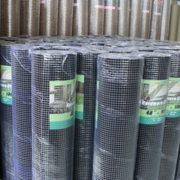 12 Electro galvanized/electro galvanized wire mesh