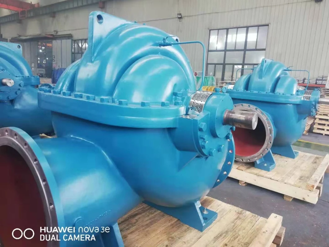 Horizontal Centrifugal Seawater Water Circulation Pump