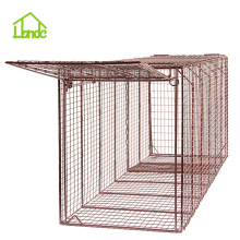 Live Coyote Cage Trap